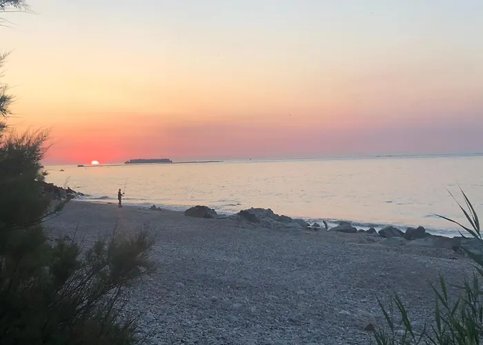 Sur Le Chemin De La *